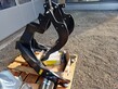 Hauer TBS-2 N zu Lintrac 80 (24520)
