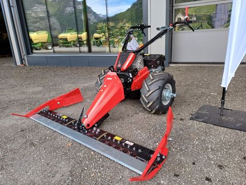 3305-2623d4fa0b23c9bf566817824e95662a-4866166