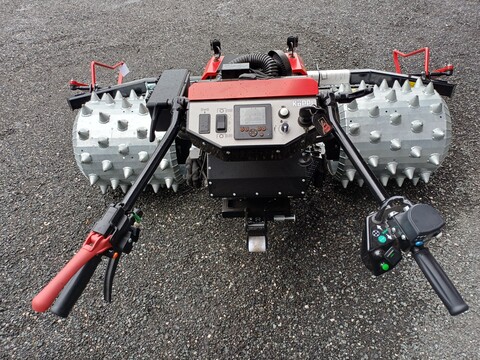 Köppl Gekko (24167)