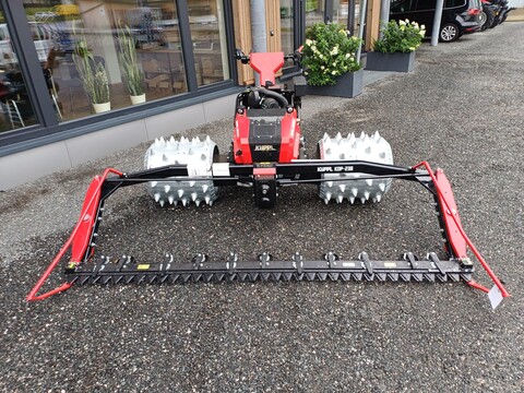 Köppl Gekko (24167)