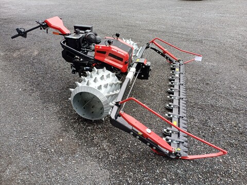 Köppl Gekko (24167)