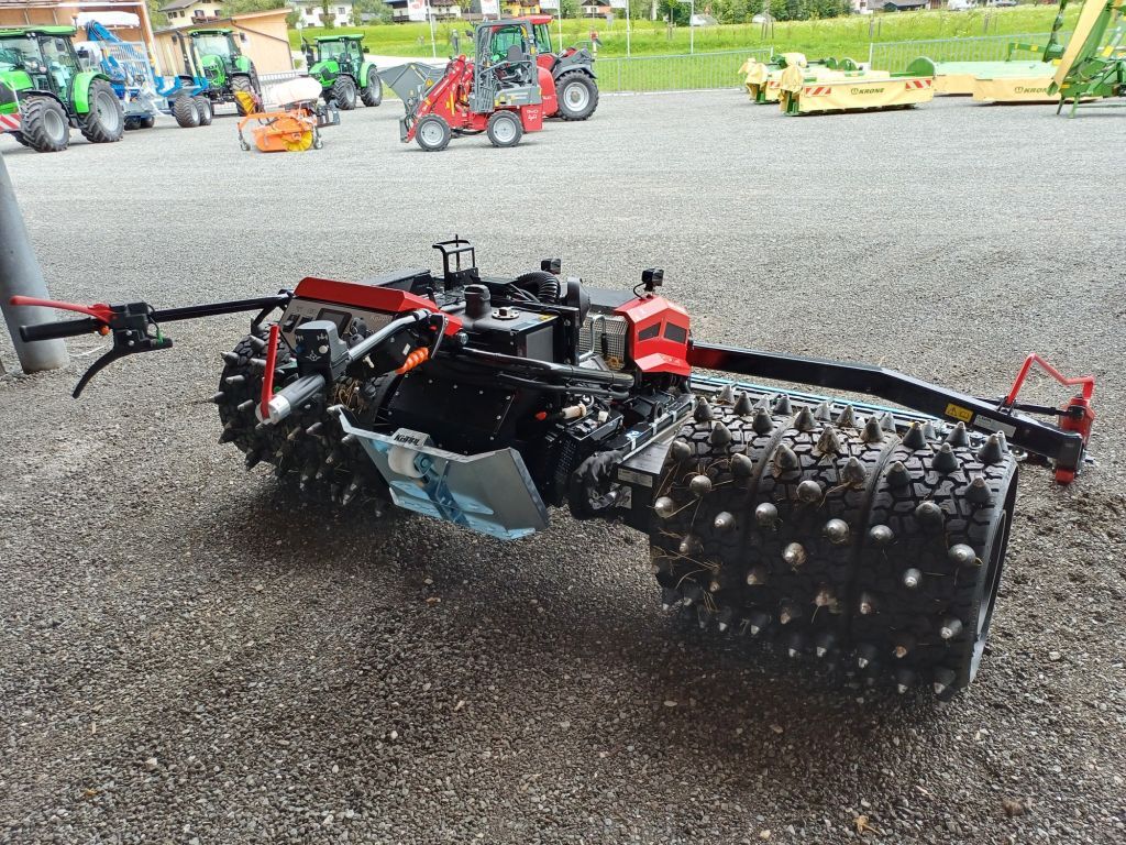 Köppl Gekko (21981) 3