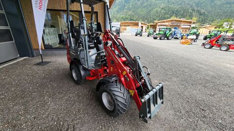 Weidemann 1160 (16014)