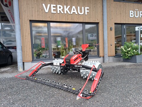 Köppl Gekko (24167)