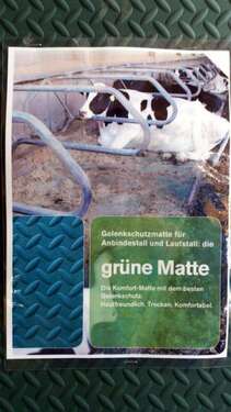 Grüter Grüne Matte (08914)