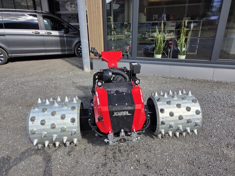 Köppl Gekko (25001)