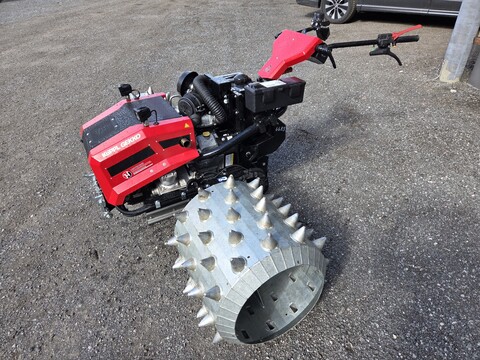 Köppl Gekko (25001)