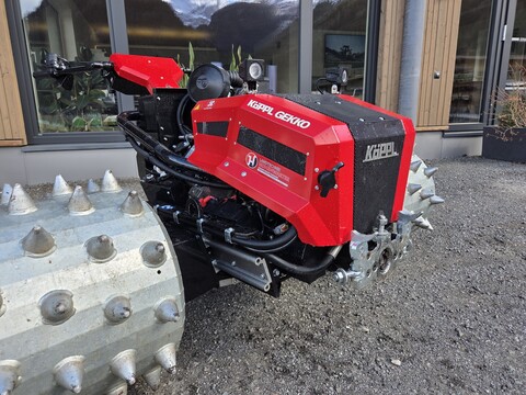 Köppl Gekko (25001)