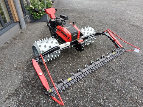 Köppl Gekko (24167)