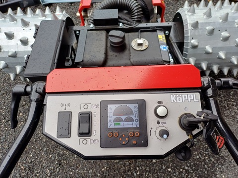 Köppl Gekko (24167)