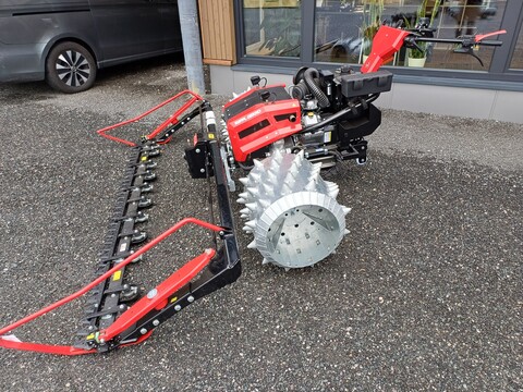 Köppl Gekko (24167)