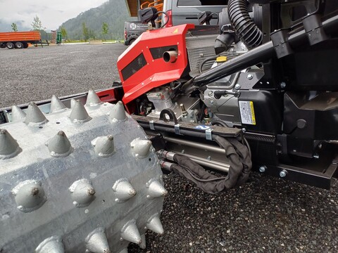 Köppl Gekko (24167)