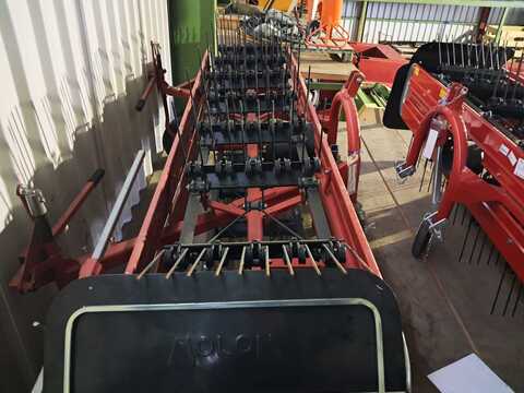 Molon 3m/5-Reihig (15566)