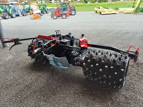 Köppl Gekko (21981)