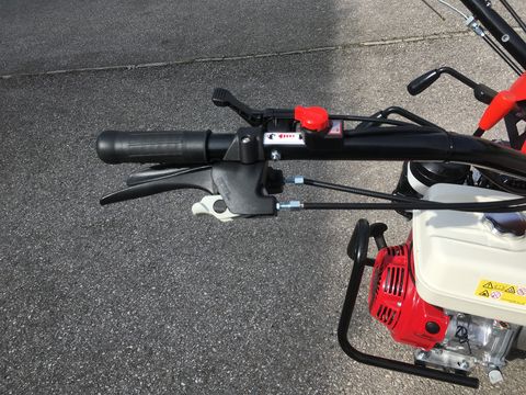 Vogel&Noot Plus 3