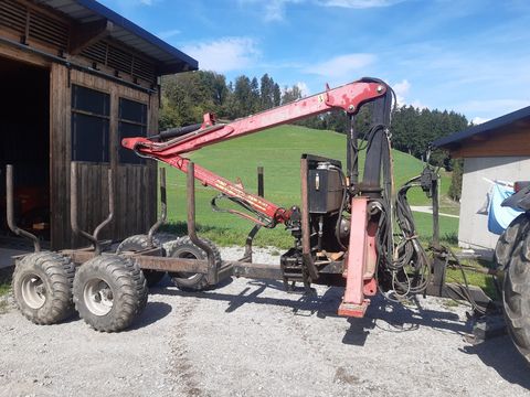 Kesla Patu 203T