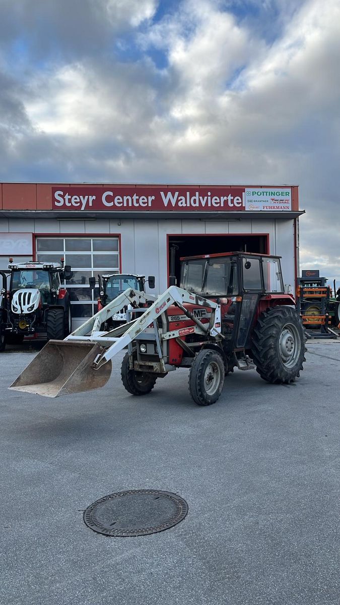 Massey Ferguson 265 MP 1