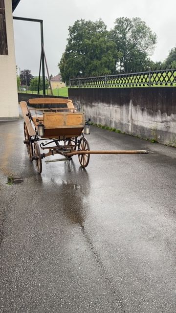 Steirische Landauer Kutsche 3