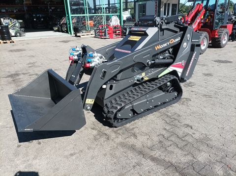 Cast WX 1000  TOP NEUHEIT