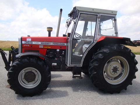 Massey Ferguson 365-4