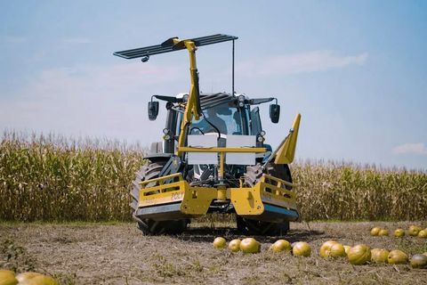 Sonstige Ascon3 Kürbisschieber Polyliner