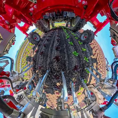 Einböck Invera 300  3x150cm