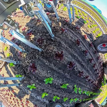 Einböck Invera 300  3x150cm