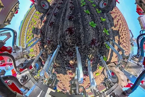 Einböck Invera 300  3x150cm