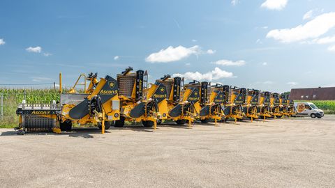 Ascon3 Kürbiserntemaschine Phönix