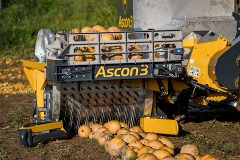 Ascon3 Kürbiserntemaschine Phönix