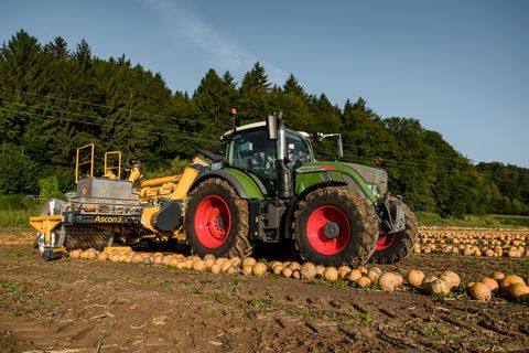 Ascon3 Kürbiserntemaschine Phönix