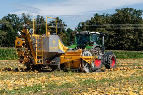 Ascon3 Kürbiserntemaschine Phönix
