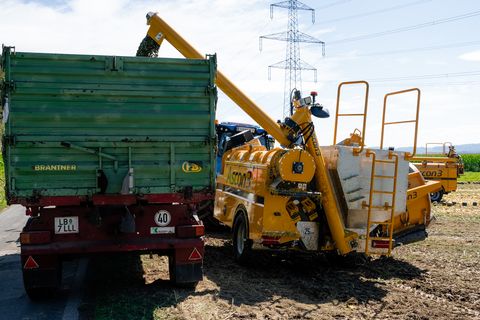 Ascon3 Kürbiserntemaschine Phönix