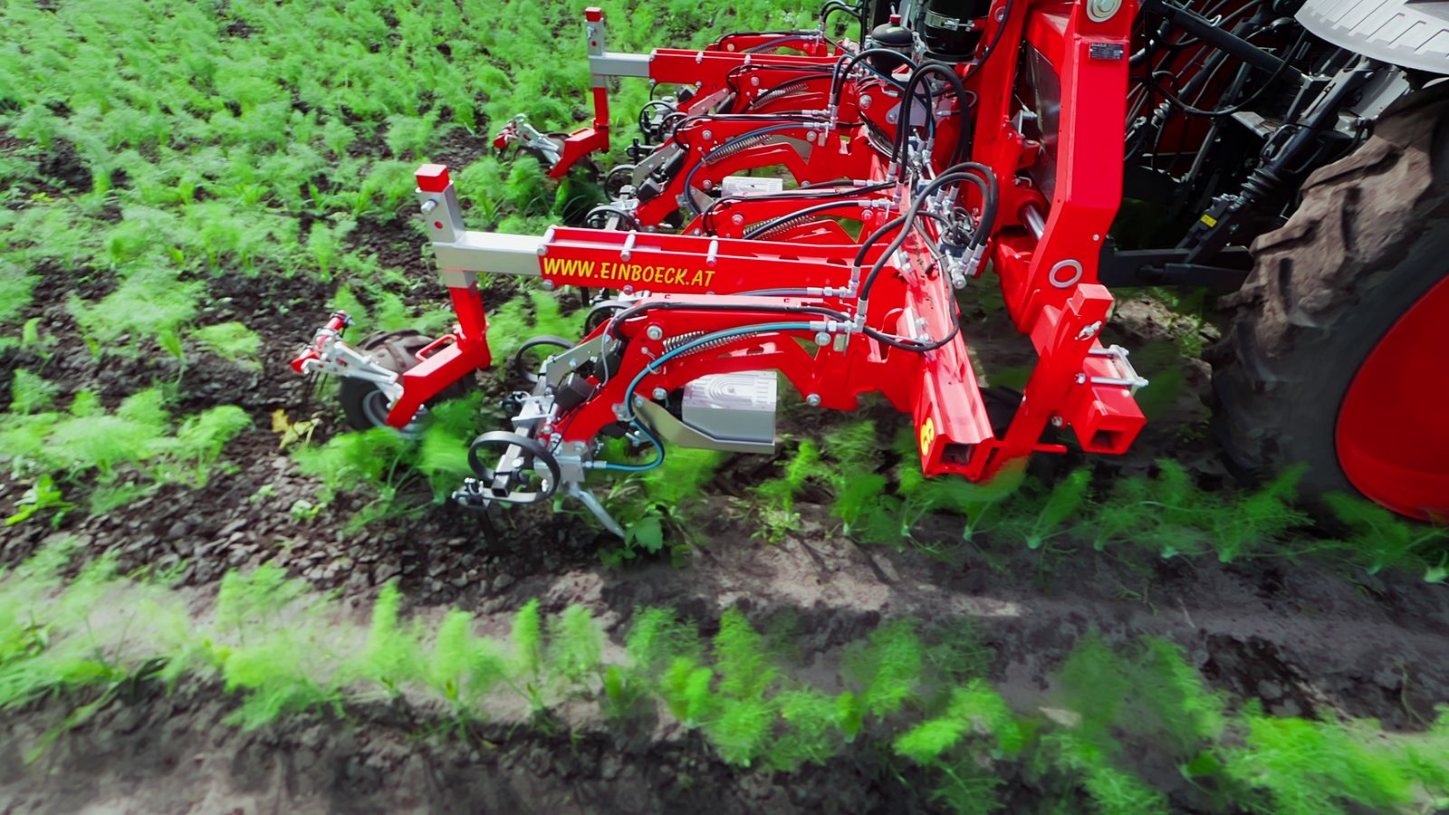 Einböck Invera 450 6x75cm 2