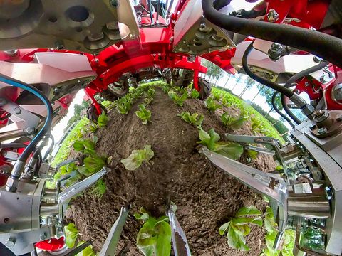 Einböck Invera 450 6x75cm