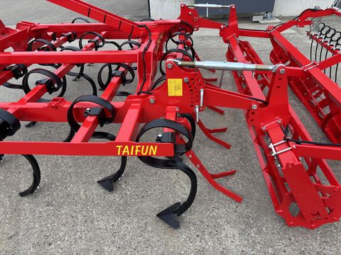 Einböck Taifun 300 FZ