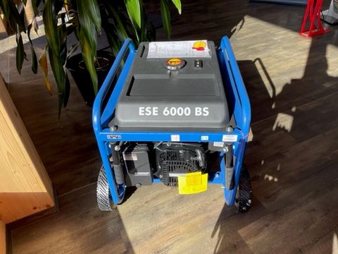 Endress Stromerzeuger ESE 6000 BS