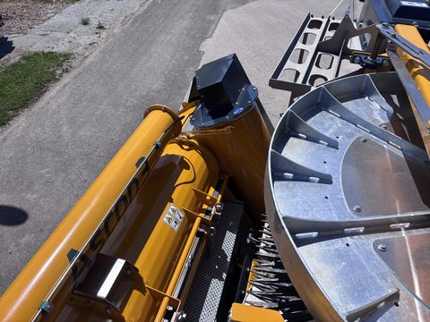 Ascon3 Ascon3 Kürbiserntemaschine Phönix
