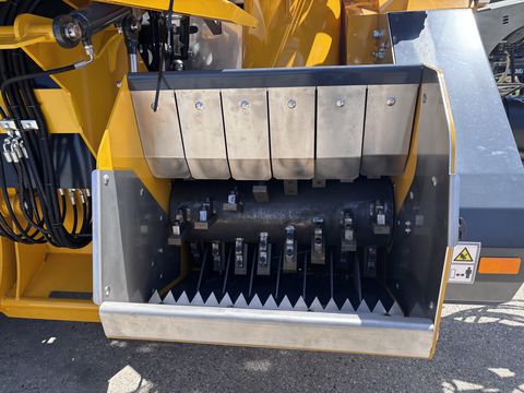 Ascon3 Ascon3 Kürbiserntemaschine Phönix
