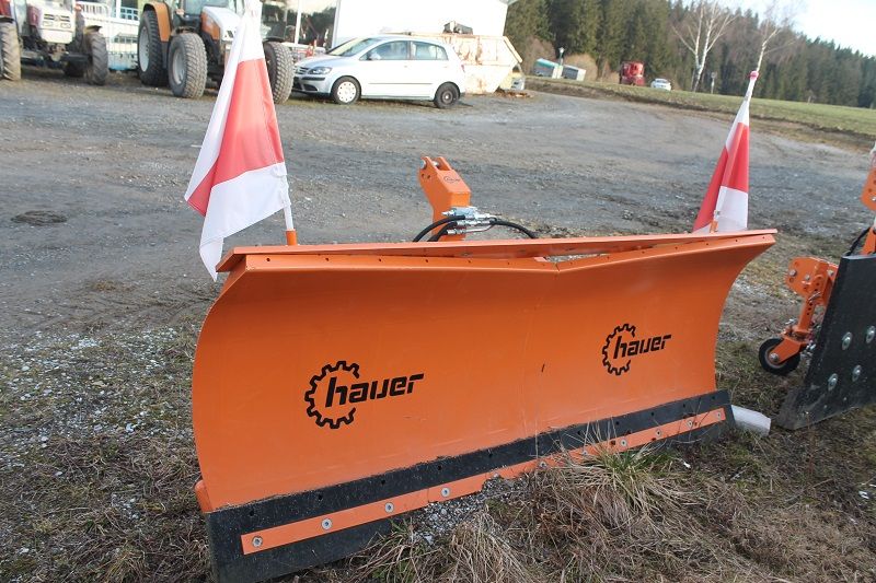 Hauer  1