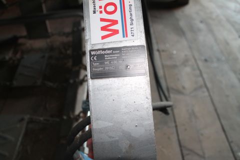 Wölfleder Wölfleder