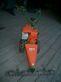 Agria 5300