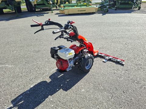 Reform CM 818D 