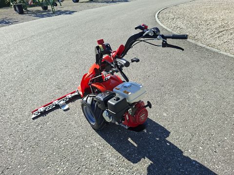 Reform CM 818D 