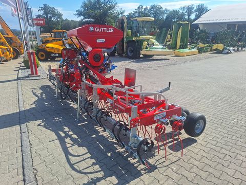 Güttler GM Striegel 600 