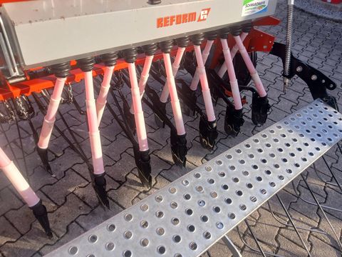 Reform Seomo Exakcta Classic