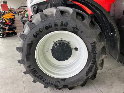 Steyr 6260 Absolut CVT