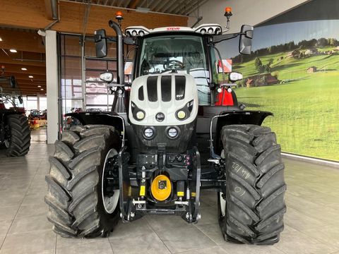 Steyr 6260 Absolut CVT