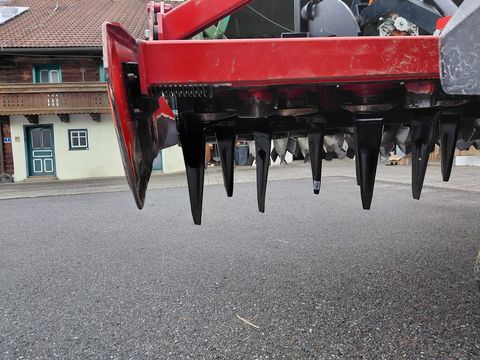 Amazone Forgio + Amazone 