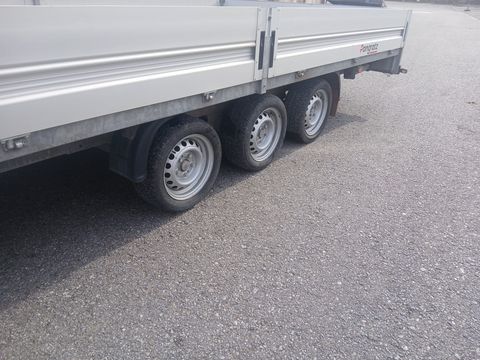 Pongratz PHL 5030/24 T-AL